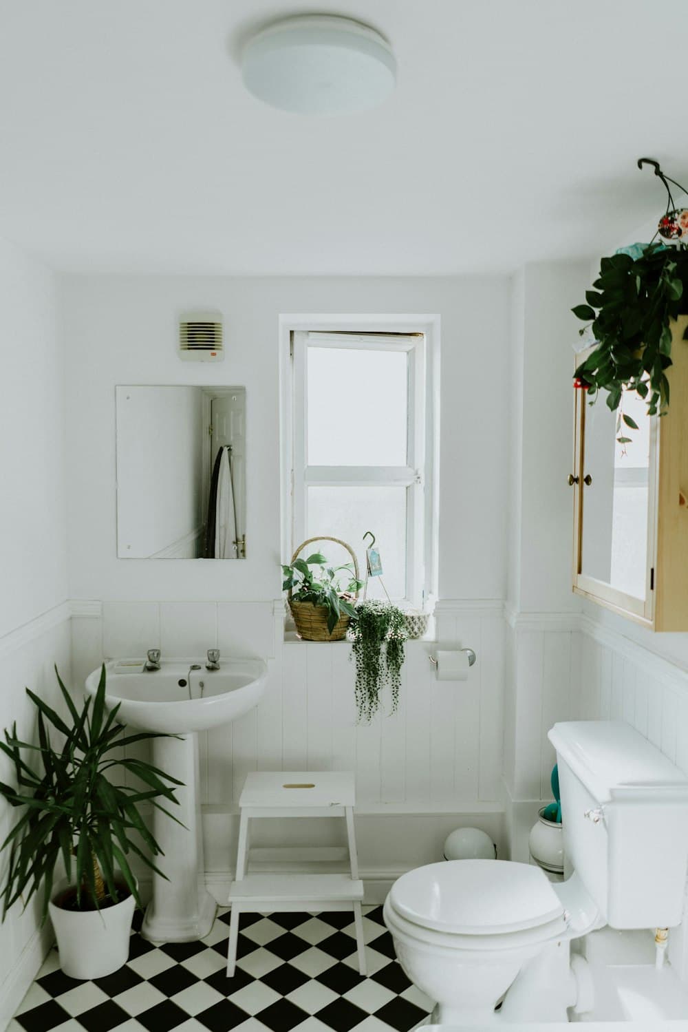 Leak Detection by Norton Plumbing in Sydney's Eastern Suburbs