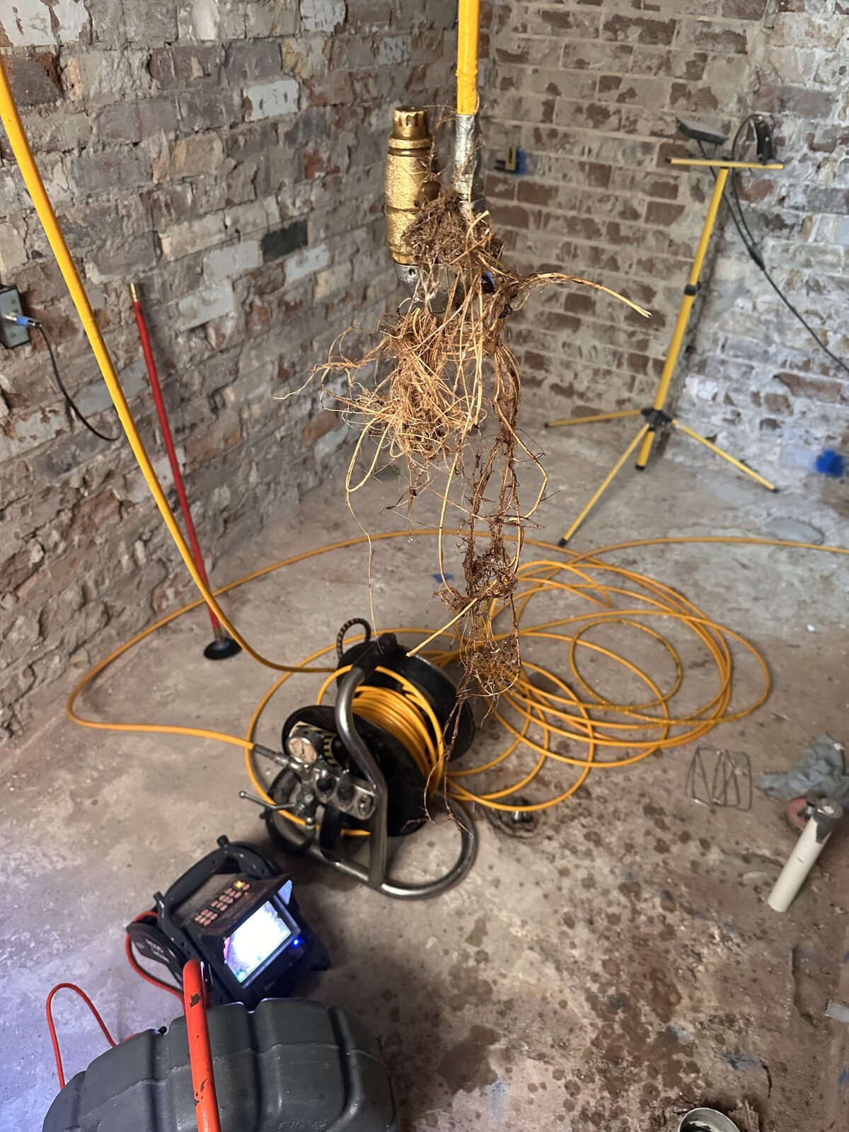 Norton Plumbing CCTV drain camera and high-pressure jetter set up in the basement of a Point Piper home, with extracted tree roots hanging above the drain access