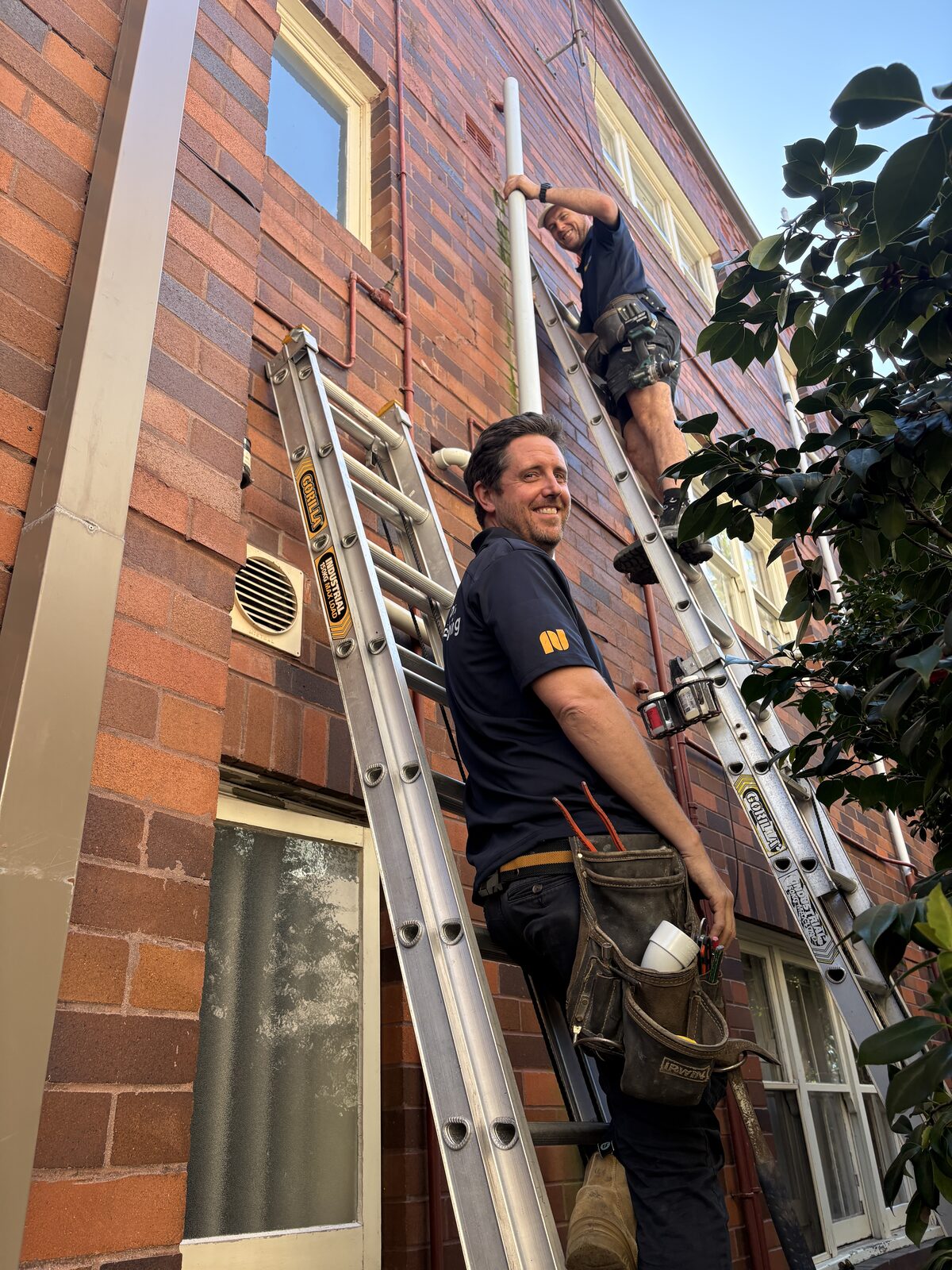 Adam Norton and a Norton Plumbing plumber on extension ladders in a narrow side passage, fitting a new PVC waste stack to the brick wall of a Coogee Bay Road strata block