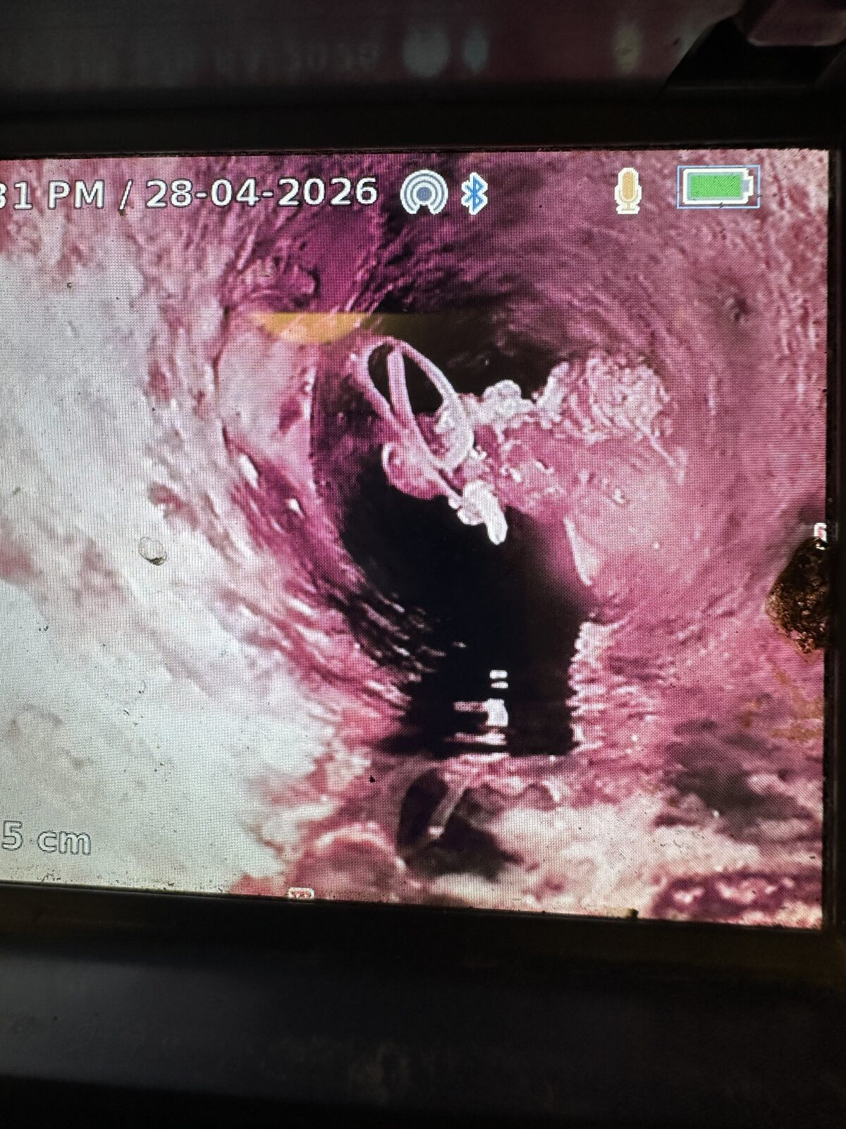 CCTV drain camera footage showing a clip-on toilet rim freshener lodged inside an apartment building drain in Coogee