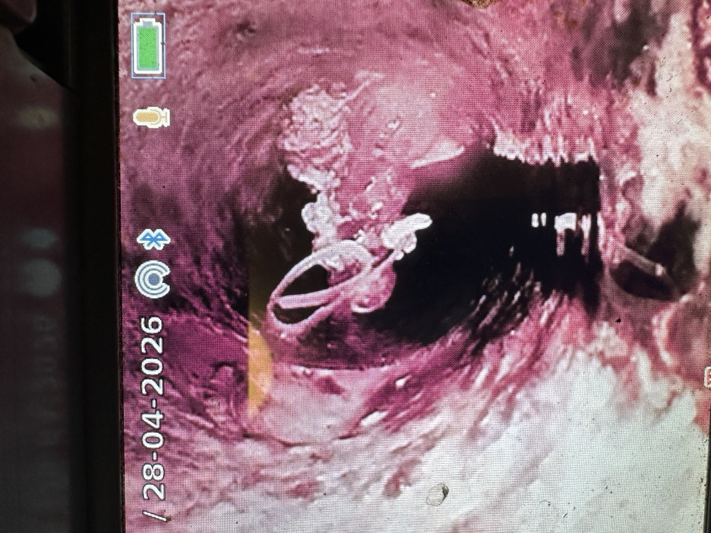 CCTV camera view of a plastic toilet rim freshener wedged in the bend of an apartment building drain in Coogee
