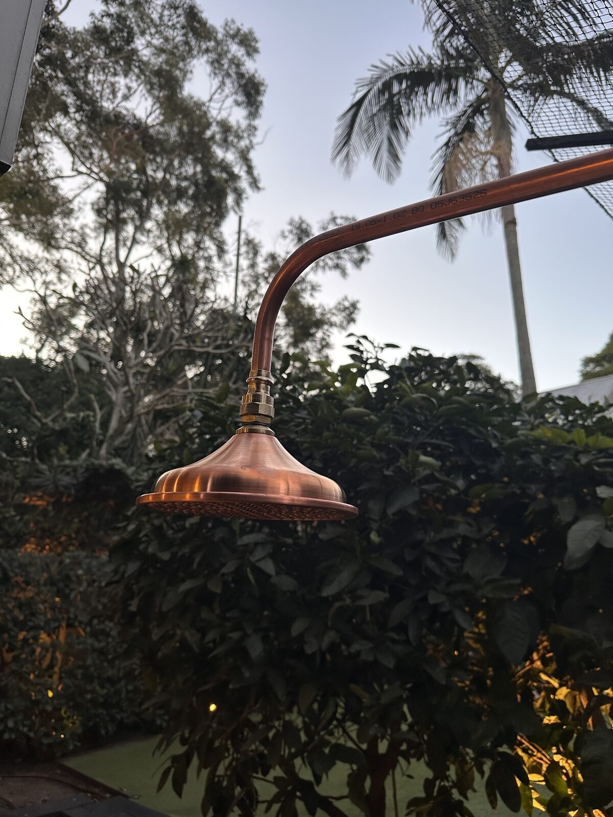 Close up of an aged copper rainfall shower rose against the evening sky in a Bronte garden
