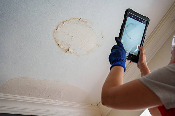 Inspecting a damp ceiling patch caused by a hidden copper pinhole leak in an Eastern Suburbs Sydney home