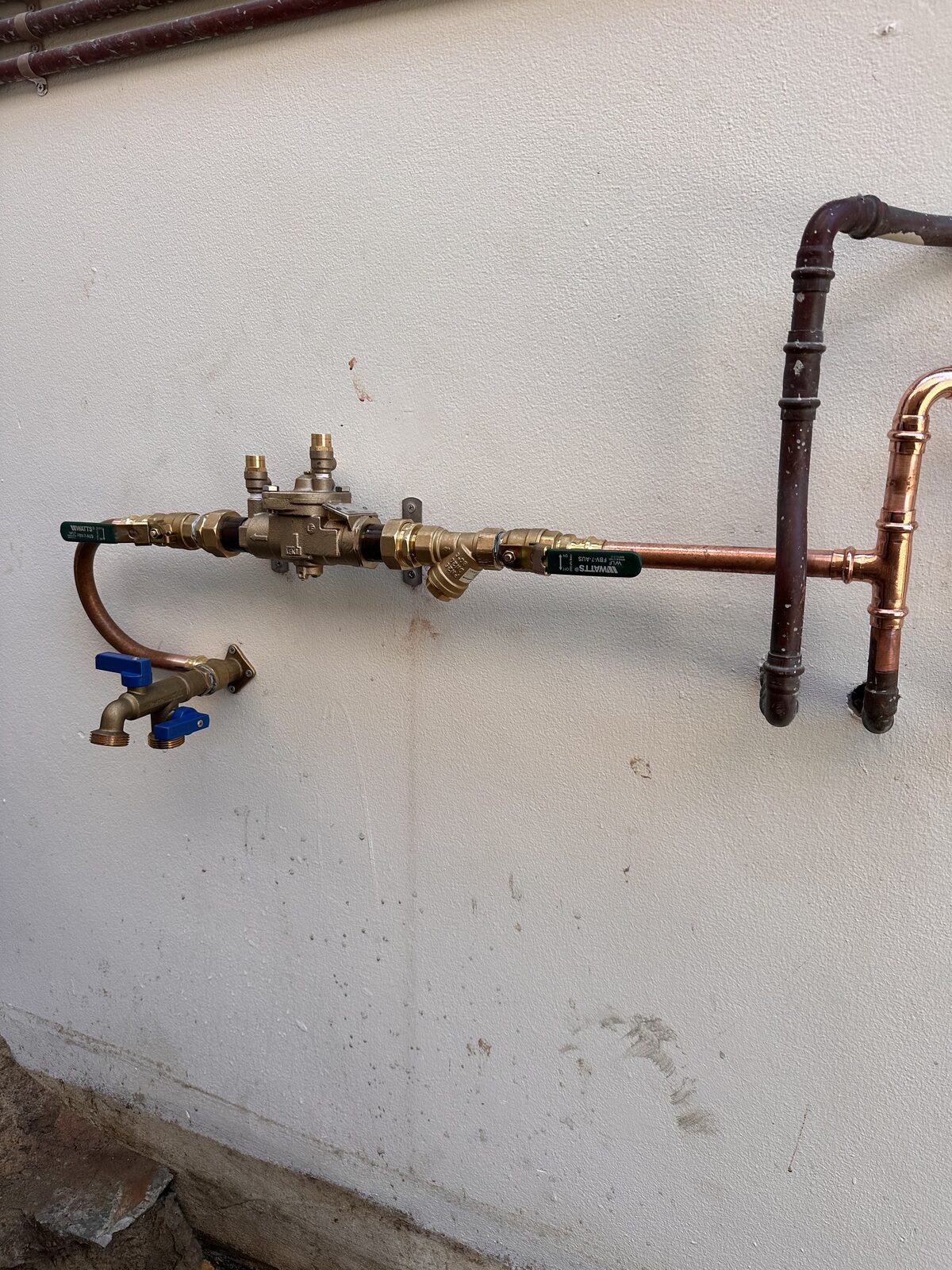 Newly installed Watts reduced pressure zone backflow prevention device on a Bondi wall, with brass isolation valves either side, test cocks on top and the relief vent underneath